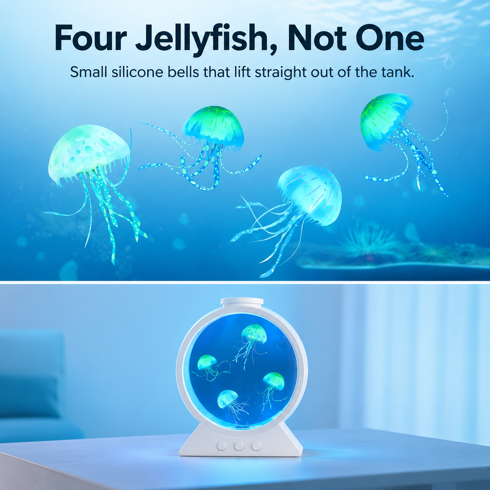 jelly-round_jellyfish.png