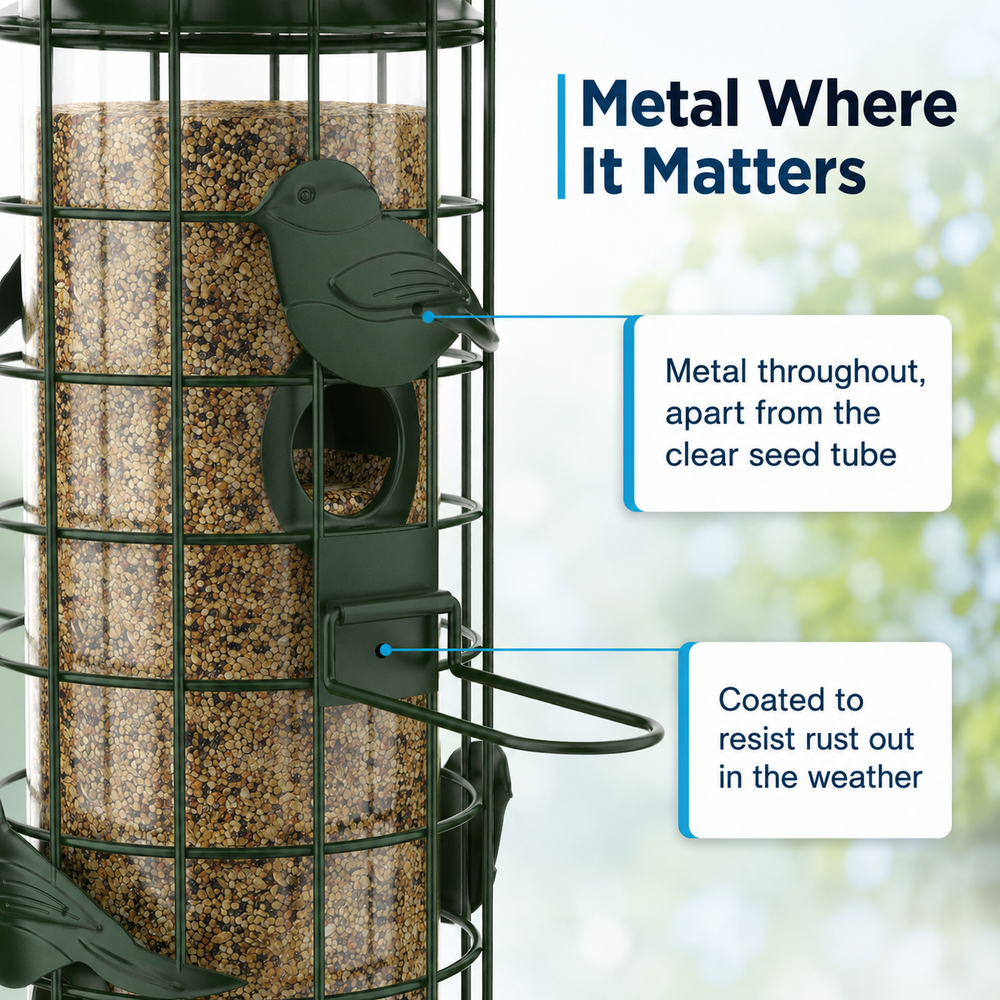 bird-caged_metal.png