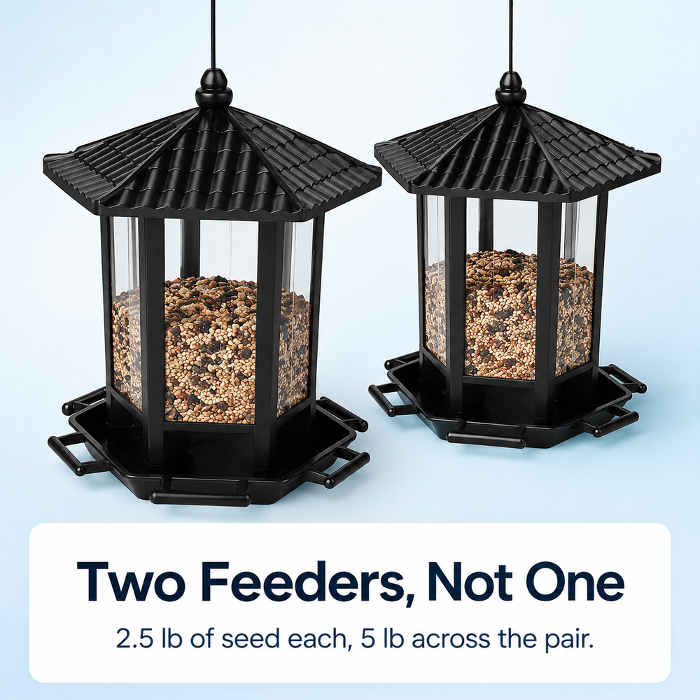 bird-pagoda2_pair.png
