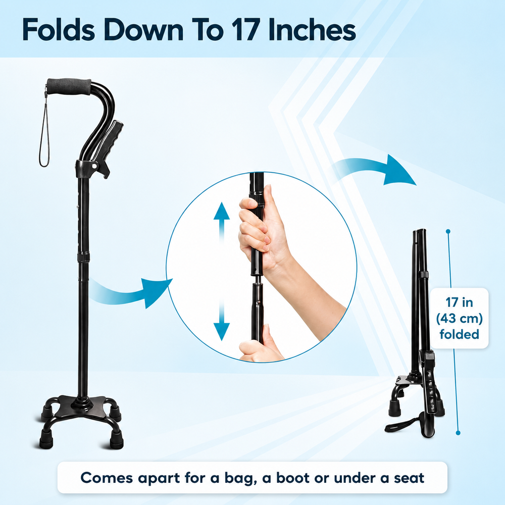 cane-dual_fold.png