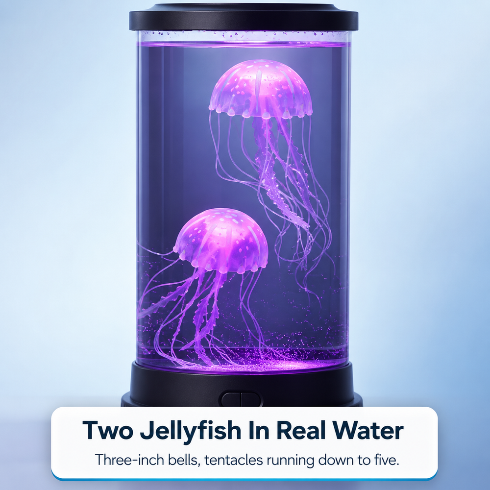 jelly-large_water.png