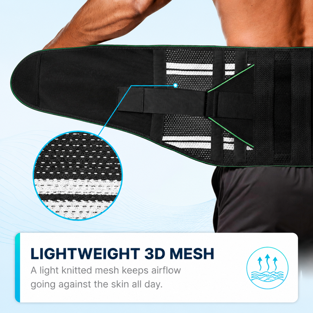 lumbar-8stay_mesh.png