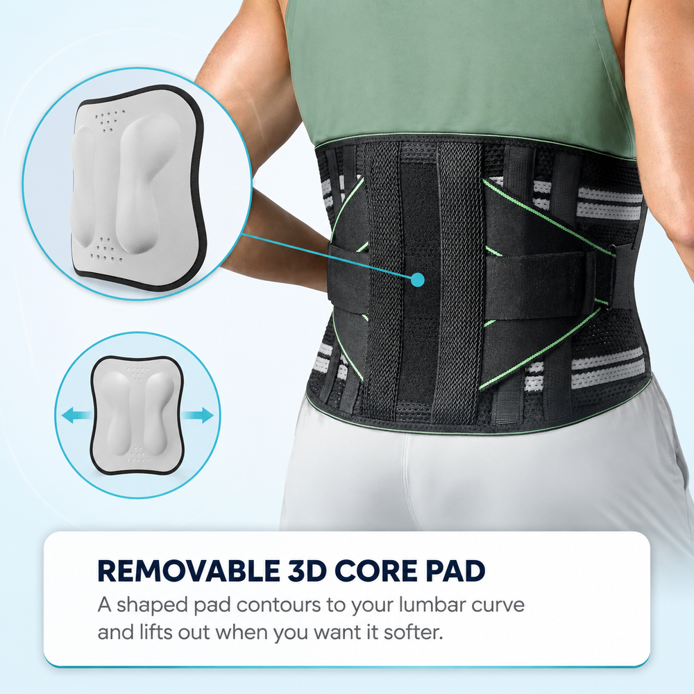 lumbar-8stay_pad3d.png